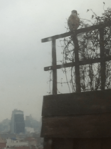 Screen Shot 2013-01-29 at 7.51.56 PM